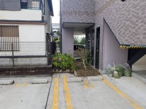 柏原市　剪定・伐採作業