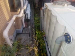 柏原市　剪定・伐採作業